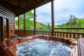 Knotty But Nice - Hot Tub, Jacuzzis and Fireplaces